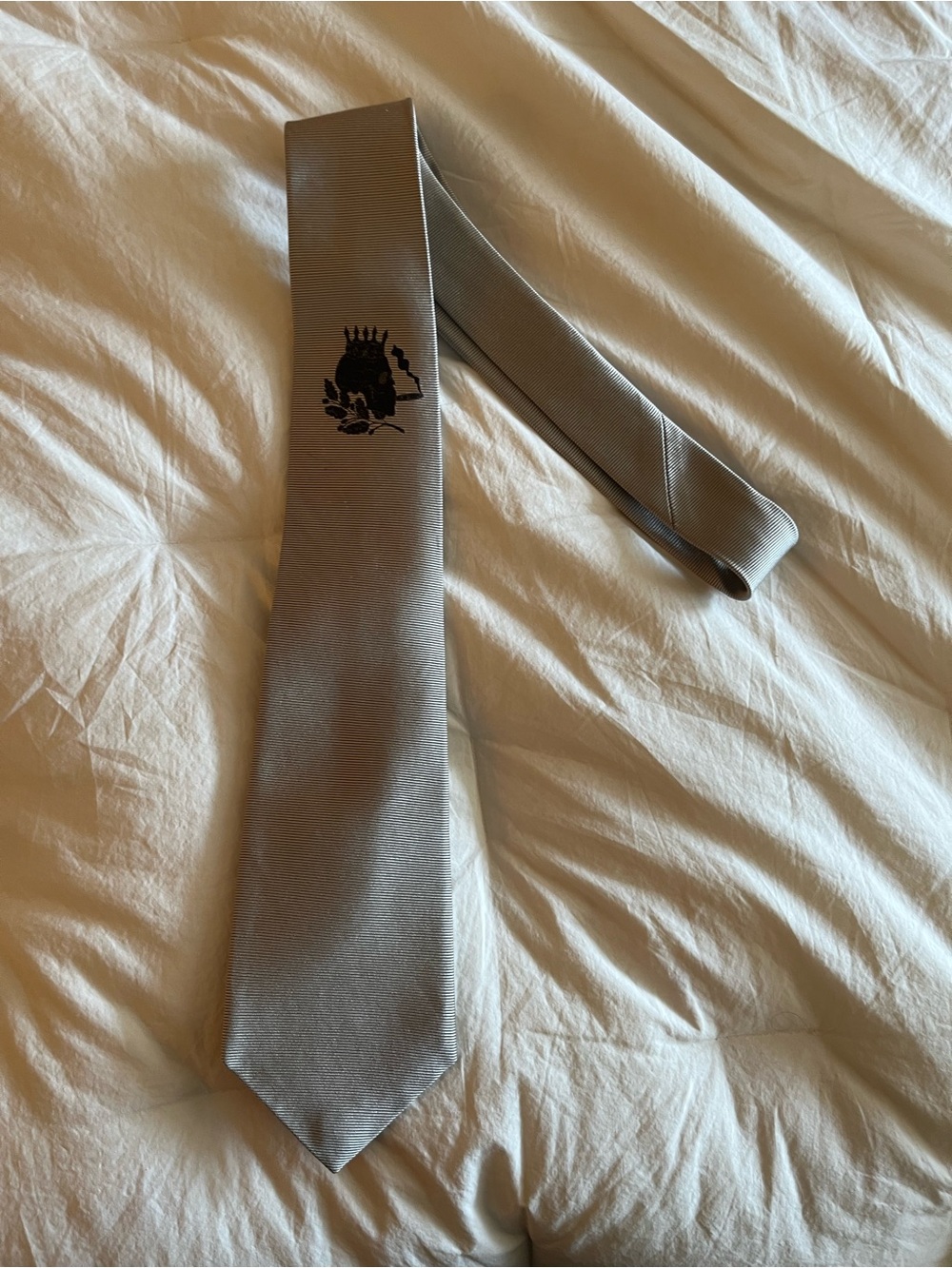 Duncan Quinn Silver Embroidered 100% Silk Tie Made in USA